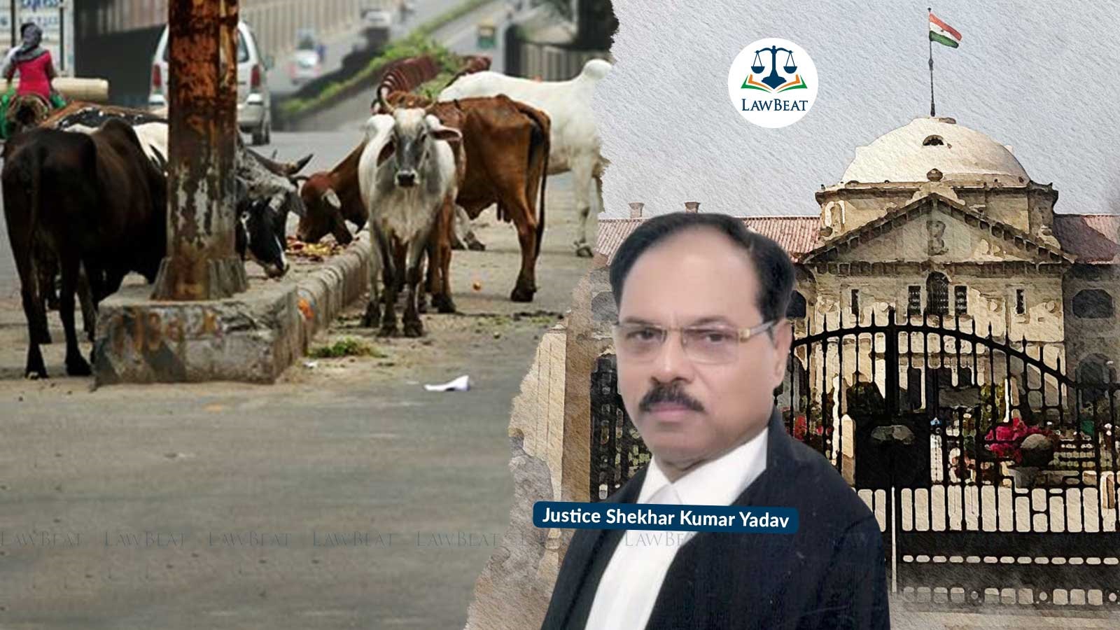 Polices laxity in investigations is resulting in increase of cow slaughters in UP: Allahabad HC Polices laxity in investigations is resulting in increase of cow slaughters in UP: Allahabad HC